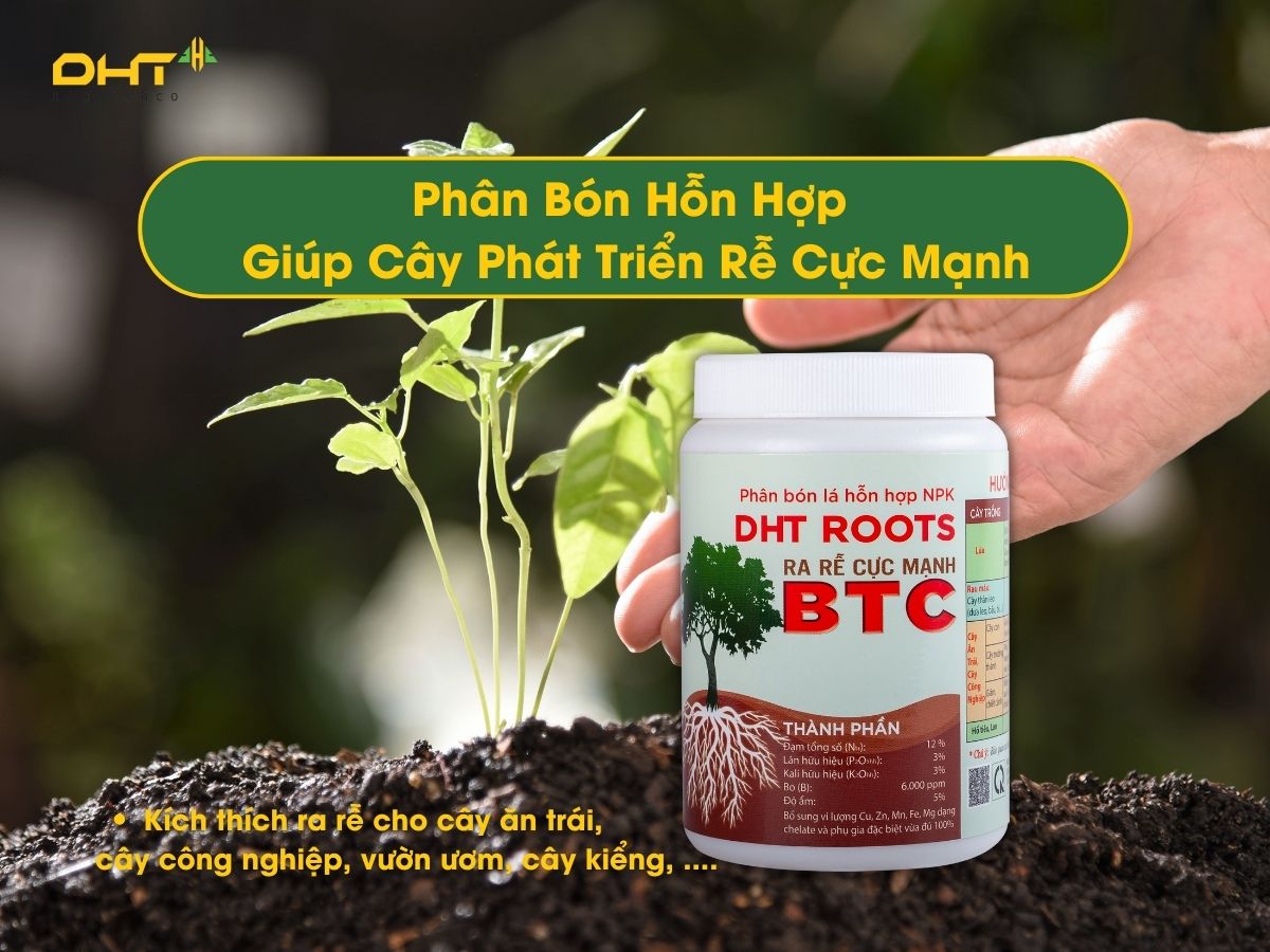 Nhớ rằng không chỉ là việc kích rễ Lan Hồ Điệp, mà còn là việc thể hiện tâm hồn và cá tính của bạn thông qua cây cảnh