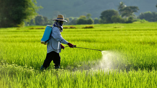 cach tinh nong do thuoc bao ve thuc vat 2