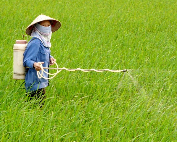thuoc bao ve thuc vat 2