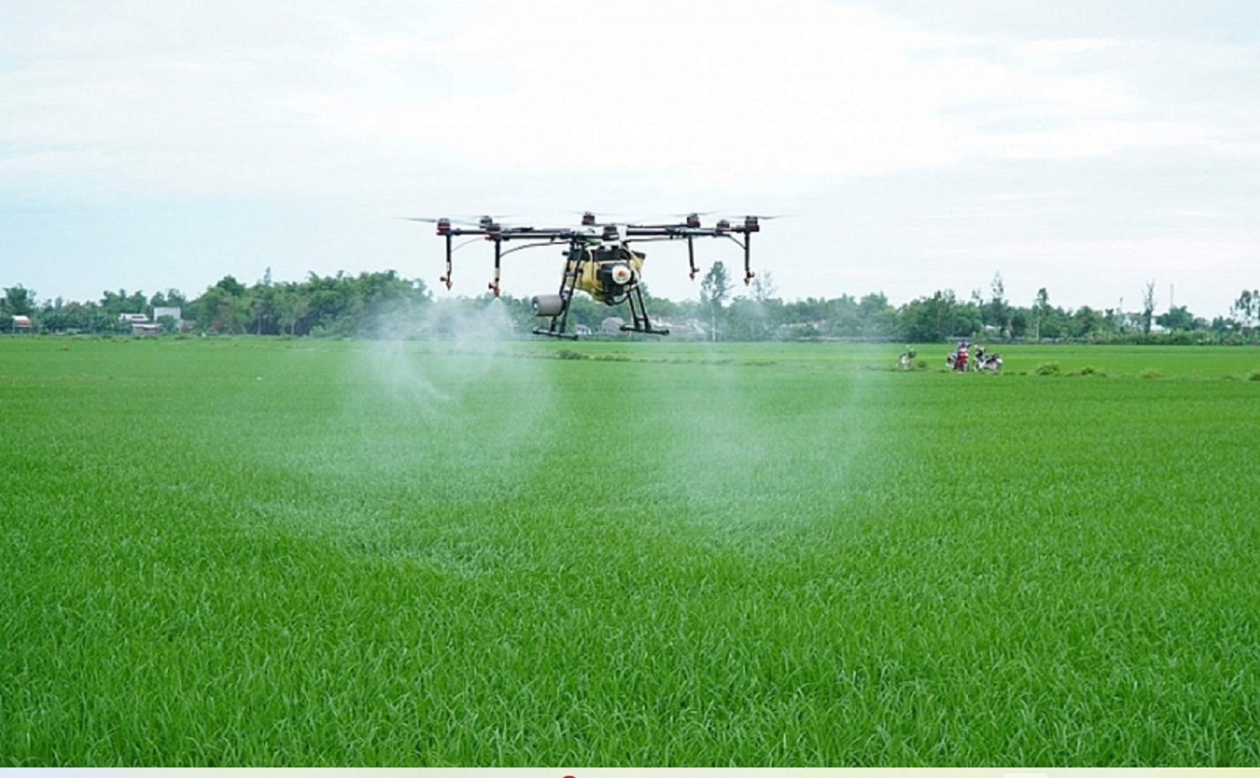 Thuốc bảo vệ thực vật là một phần không thể thiếu trong quá trình sản xuất nông nghiệp hiện đại