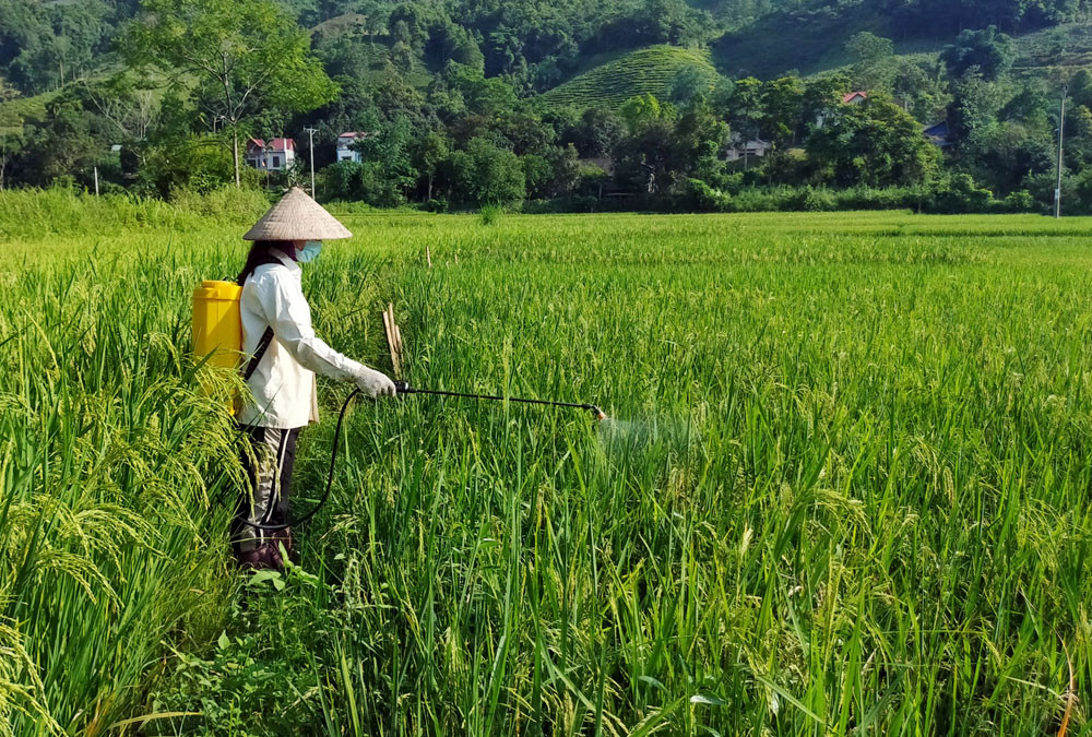 thuoc bao ve thuc vat co doc khong 1