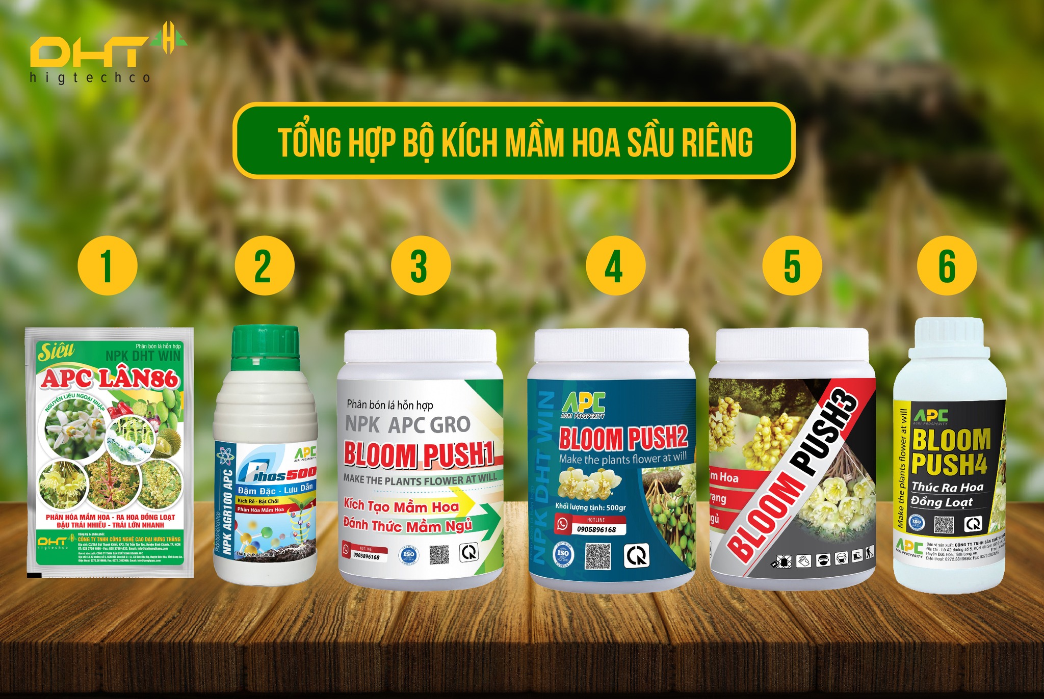 mầm hoa sầu riêng