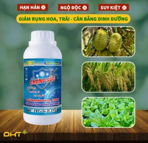 chống sốc cho cây
